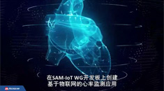 在SAM-IoT WG开发板上创建基于物联网的心率监测应用